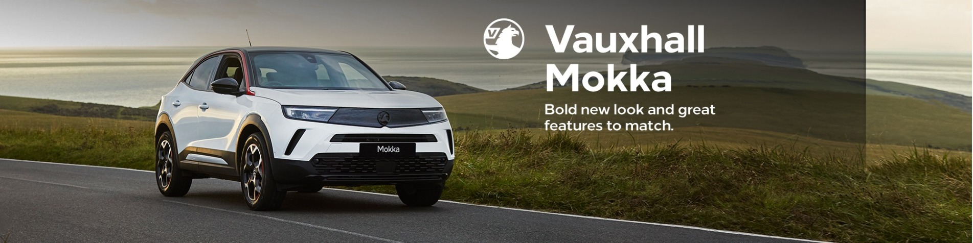 Mokka ICE generic website jpegs