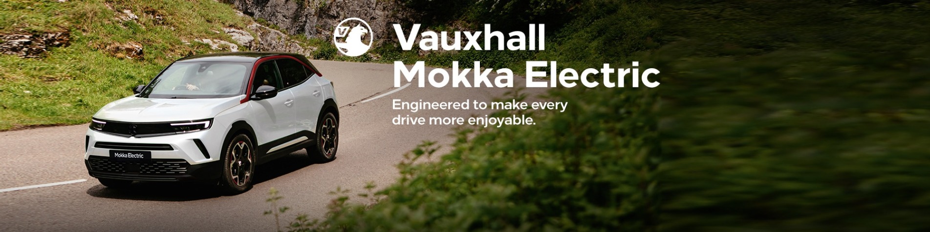 Mokka Electric generic website jpegs
